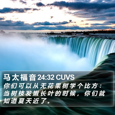 马 太 福 音 24:32 CUVS Bible Verse Image