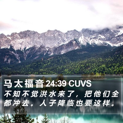 马 太 福 音 24:39 CUVS Bible Verse Image