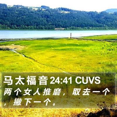 马 太 福 音 24:41 CUVS Bible Verse Image