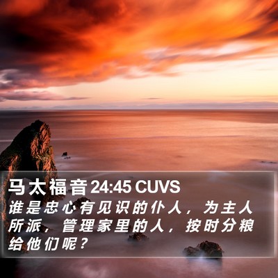 马 太 福 音 24:45 CUVS Bible Verse Image