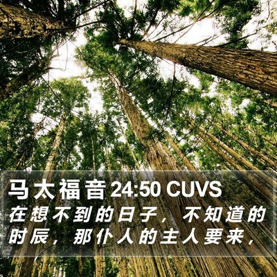 马 太 福 音 24:50 CUVS Bible Verse Image