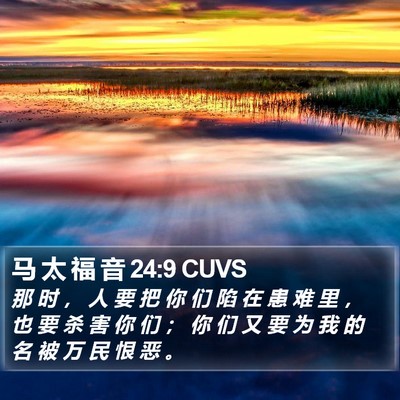 马 太 福 音 24:9 CUVS Bible Verse Image