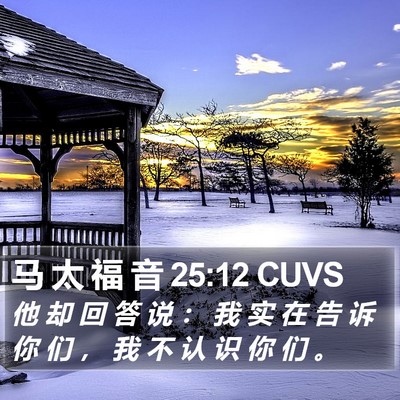 马 太 福 音 25:12 CUVS Bible Verse Image