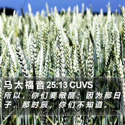 马 太 福 音 25:13 CUVS Bible Verse Image