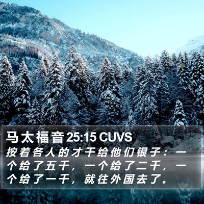 马 太 福 音 25:15 CUVS Bible Verse Image