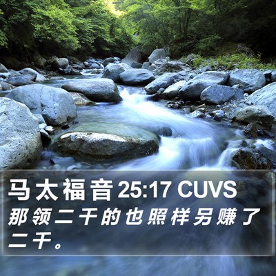 马 太 福 音 25:17 CUVS Bible Verse Image