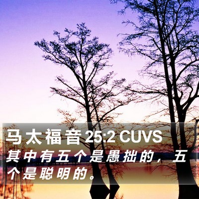 马 太 福 音 25:2 CUVS Bible Verse Image
