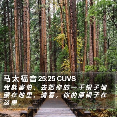 马 太 福 音 25:25 CUVS Bible Verse Image