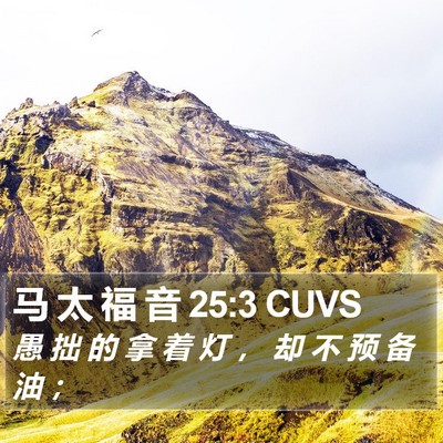 马 太 福 音 25:3 CUVS Bible Verse Image