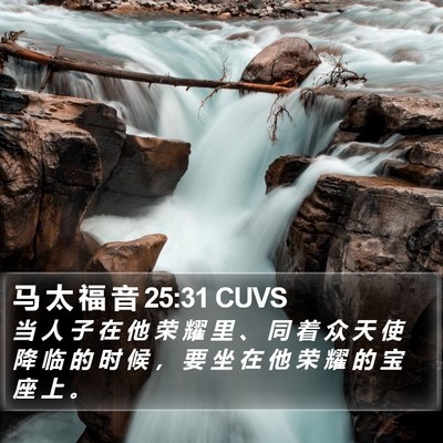 马 太 福 音 25:31 CUVS Bible Verse Image
