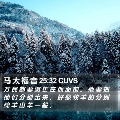 马 太 福 音 25:32 CUVS Bible Verse Image