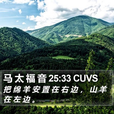 马 太 福 音 25:33 CUVS Bible Verse Image