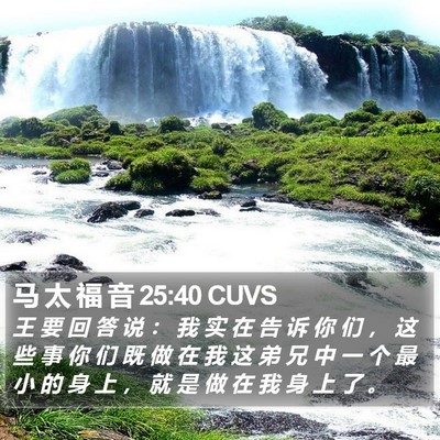 马 太 福 音 25:40 CUVS Bible Verse Image