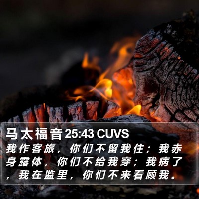 马 太 福 音 25:43 CUVS Bible Verse Image