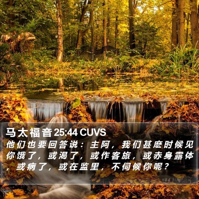 马 太 福 音 25:44 CUVS Bible Verse Image