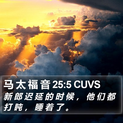 马 太 福 音 25:5 CUVS Bible Verse Image
