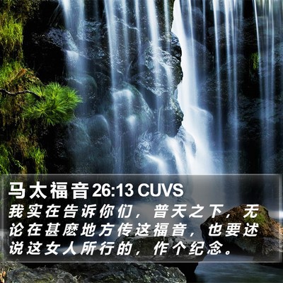 马 太 福 音 26:13 CUVS Bible Verse Image