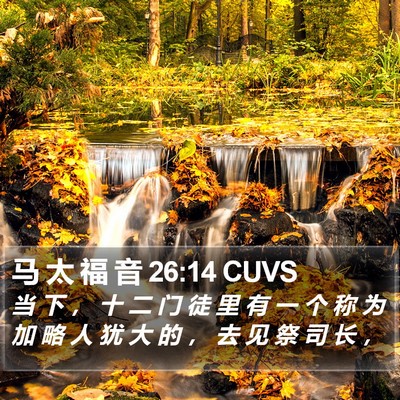 马 太 福 音 26:14 CUVS Bible Verse Image