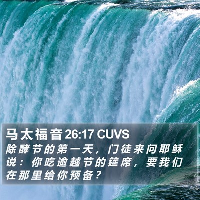 马 太 福 音 26:17 CUVS Bible Verse Image