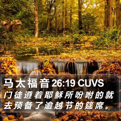 马 太 福 音 26:19 CUVS Bible Verse Image