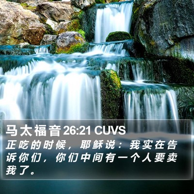 马 太 福 音 26:21 CUVS Bible Verse Image
