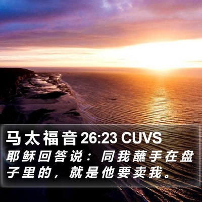 马 太 福 音 26:23 CUVS Bible Verse Image