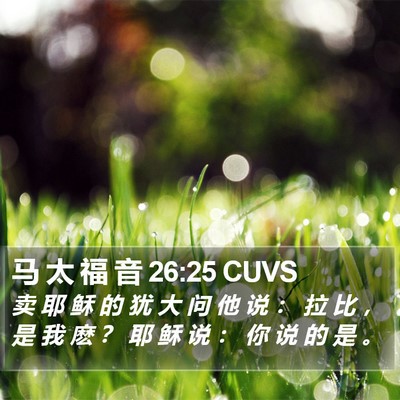 马 太 福 音 26:25 CUVS Bible Verse Image