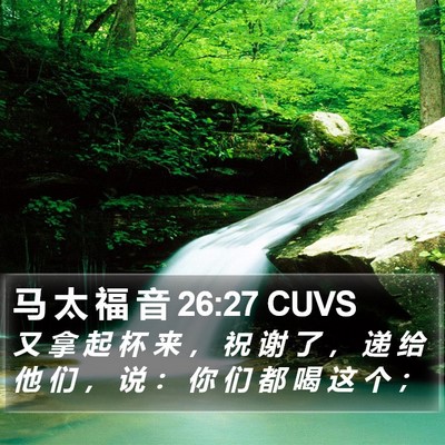 马 太 福 音 26:27 CUVS Bible Verse Image