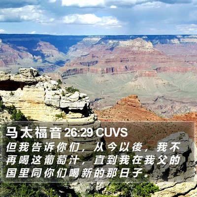 马 太 福 音 26:29 CUVS Bible Verse Image