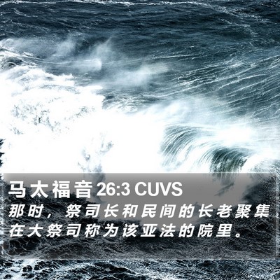 马 太 福 音 26:3 CUVS Bible Verse Image