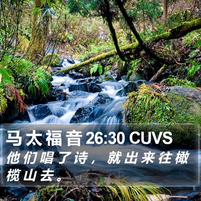 马 太 福 音 26:30 CUVS Bible Verse Image