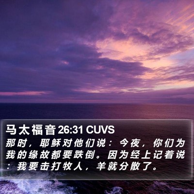 马 太 福 音 26:31 CUVS Bible Verse Image