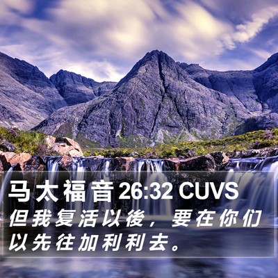 马 太 福 音 26:32 CUVS Bible Verse Image