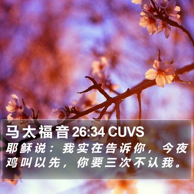 马 太 福 音 26:34 CUVS Bible Verse Image