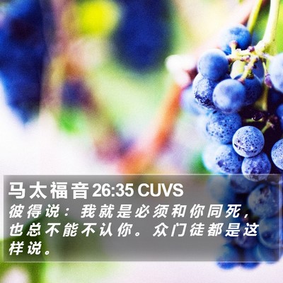 马 太 福 音 26:35 CUVS Bible Verse Image