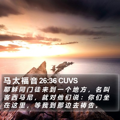 马 太 福 音 26:36 CUVS Bible Verse Image
