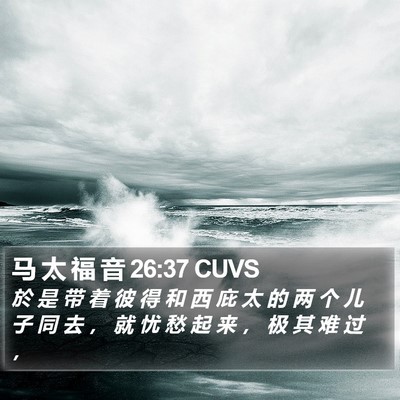 马 太 福 音 26:37 CUVS Bible Verse Image
