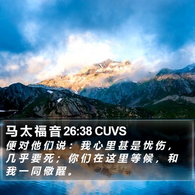马 太 福 音 26:38 CUVS Bible Verse Image