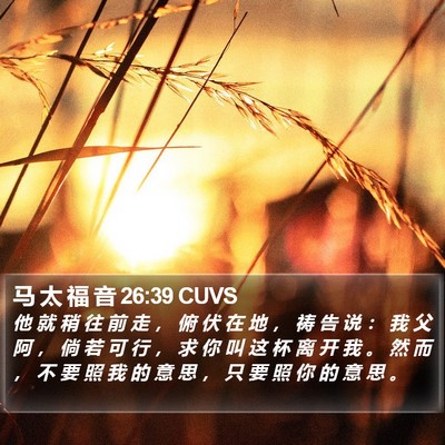 马 太 福 音 26:39 CUVS Bible Verse Image