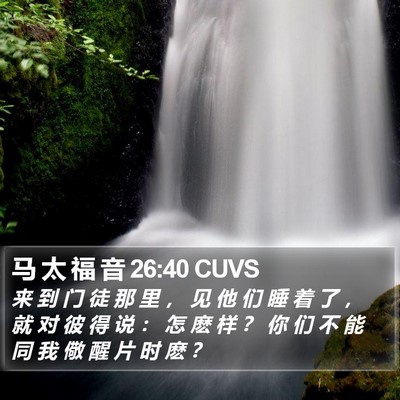 马 太 福 音 26:40 CUVS Bible Verse Image