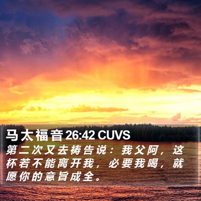 马 太 福 音 26:42 CUVS Bible Verse Image