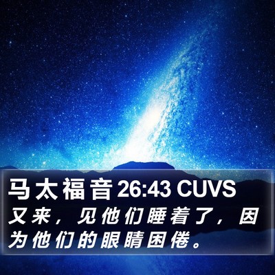 马 太 福 音 26:43 CUVS Bible Verse Image