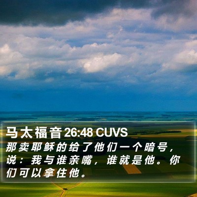马 太 福 音 26:48 CUVS Bible Verse Image