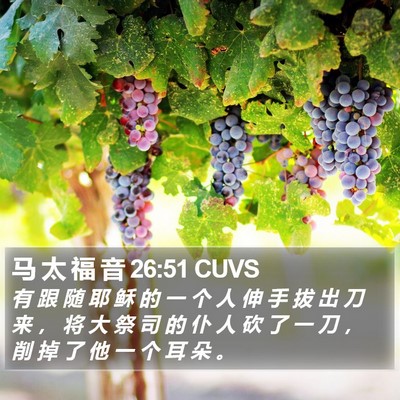 马 太 福 音 26:51 CUVS Bible Verse Image
