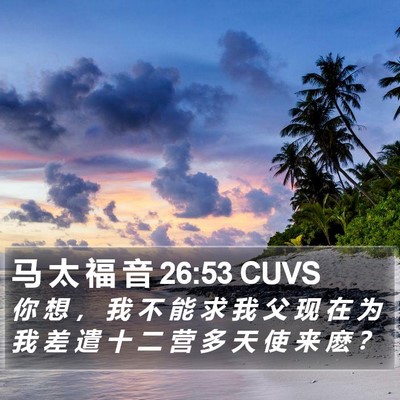 马 太 福 音 26:53 CUVS Bible Verse Image