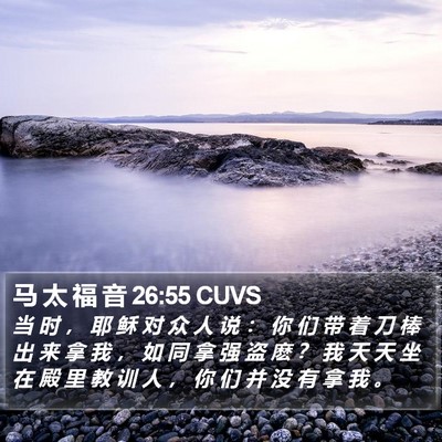 马 太 福 音 26:55 CUVS Bible Verse Image