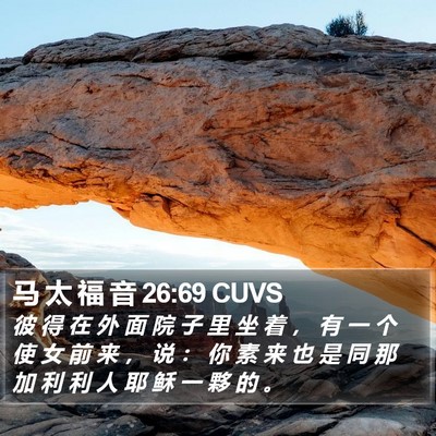 马 太 福 音 26:69 CUVS Bible Verse Image