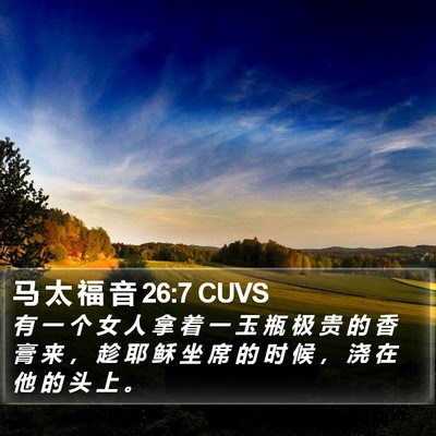 马 太 福 音 26:7 CUVS Bible Verse Image