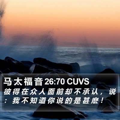 马 太 福 音 26:70 CUVS Bible Verse Image