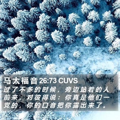 马 太 福 音 26:73 CUVS Bible Verse Image
